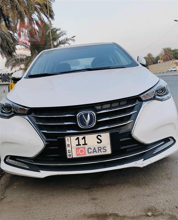 شانجان السفن 2023 للبيع في العراق -  بغداد